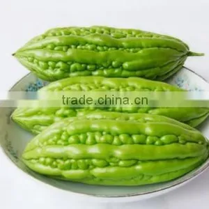 HOT PRODUCT FROZEN BITTER MELON HIGH QUALITY ANSD BEST PRICE thumbnail-2