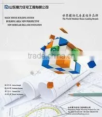 Shandong Magic Housing Project Co., Ltd. company overview - view 1 thumbnail