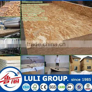 20mm Osb for Sale thumbnail-6