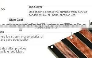 Fire Resistant Rubber Conveyor Belt for Materials With Fire Hazards thumbnail-1