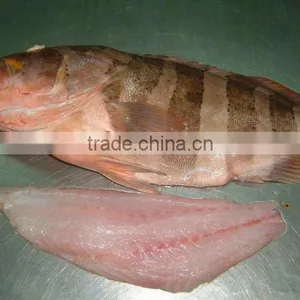 GROUPER GG thumbnail-1