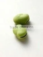 Light Green Broad Bean thumbnail-1