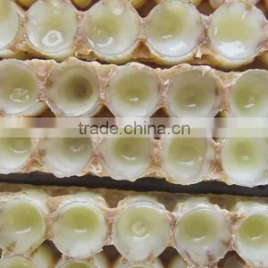 ISO Factory Supply Best Royal Jelly thumbnail-6