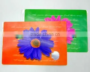 Custom Plastic Folder thumbnail-6