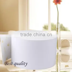 RC Roll Paper Waterproof,6"x100m for Epson D3000 thumbnail-4