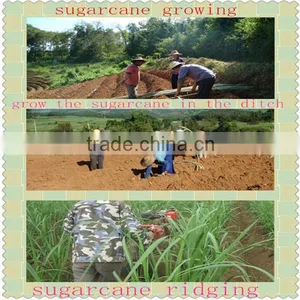 Biggest Sugarcane Planting Area Brazil Hot Sale Cane Sugar Cultivator Much Workers Saving thumbnail-2