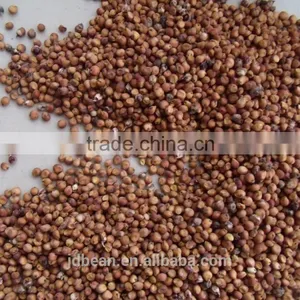 Price Of Red Sorghum thumbnail-2