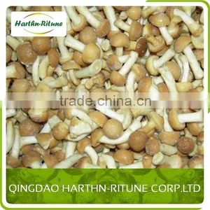 Bulk Frozen Nameko Mushroom Nameko thumbnail-4