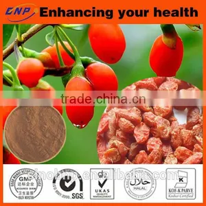 QS/HACCP/ISO-BNP Xinjiang Goji 100% Natural High Quality Goji Berry Extract thumbnail-4