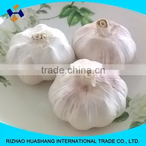 Red Fresh Garlic Size4.0cm thumbnail-1