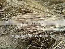 Rice Straw thumbnail-1