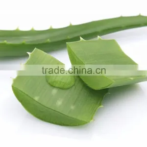 Beauty Products Aloe Vera Gel. thumbnail-3