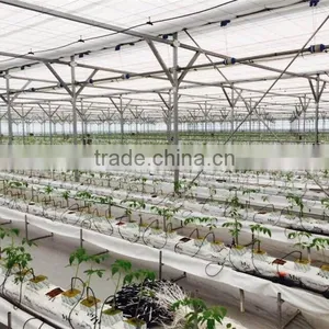 Agricultural Greenhouses Type Commercial Hydroponics Greenhouse thumbnail-2