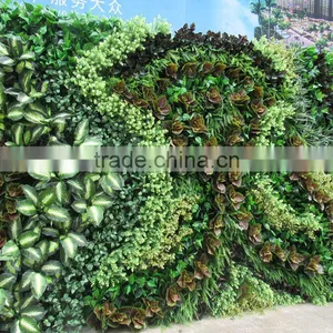 SJ0409027 Plant Climbing Walls Plastic Plants Wall/vertical Green Wall Garden thumbnail-3