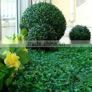 Plastic Grass Ball Ornament Factory Price Artificial Grass Topiary thumbnail-6