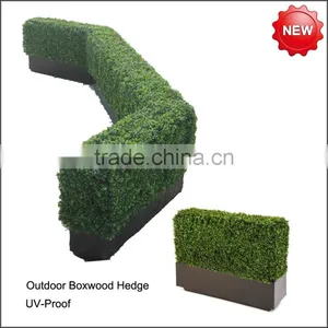 Indoor and Outdoor Artificial Boxwood Hedge thumbnail-3