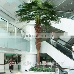 LXY081409 Royal Palm Tree Ornamental Artificial Washingtonia Robusta Palm Trees for Sale thumbnail-1