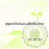 Flash Photo Stamp/Flash Feature Stamps thumbnail-1