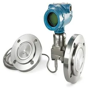 Rosemount 1199 Capillary Level Transmitter thumbnail-1