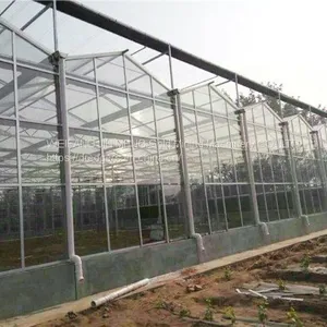 Glass Greenhouse 9.6m/10.8m Multispan Glass Greenhouse thumbnail-4