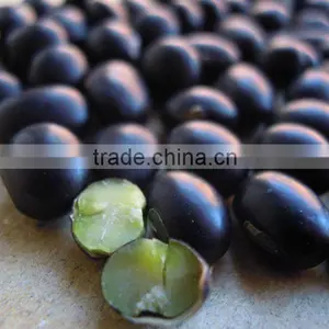 Organic Black Bean Green Kernel thumbnail-1