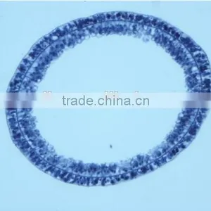 Zoology Slides Set ,animal Slides Set thumbnail-4