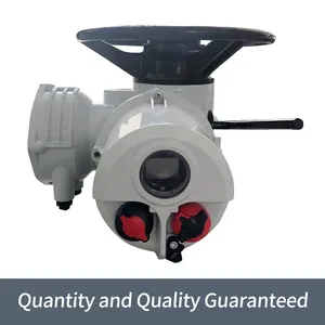 Rottok Multi-rotary Electric Actuator IQ35 Intelligent Valve Electric Device thumbnail-1