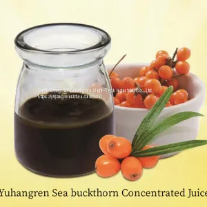 Sea Buckthorn Puree thumbnail-4