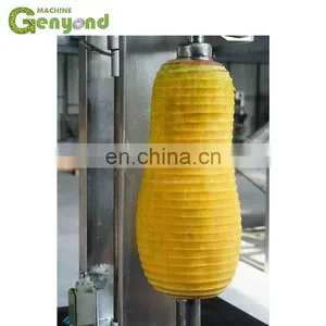 GYC Pumpkin Peeler Peeling Machine thumbnail-3
