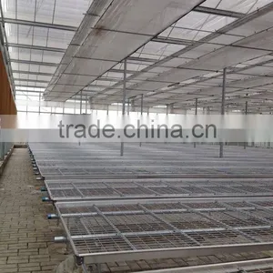 Cultivators Used Growing Table System thumbnail-4