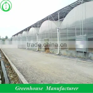 Multi Span Polycarbonate China Greenhouses thumbnail-1