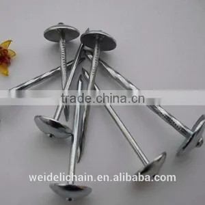 Galvanized Roofing Nail/ Umbrella Head Twisted Shank Roofing Nails thumbnail-3