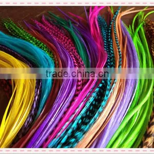 Thin Long Party Show Colorful Top Sale Real Rooster Feather Hair Extensions Quality Choice thumbnail-1