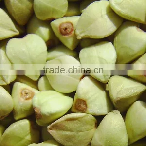 Green Buckwheats,Crop 2013 thumbnail-1