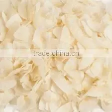 Organic Coconut Roasted Chiplet thumbnail-1