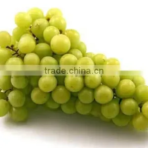 Fresh Grapes thumbnail-1