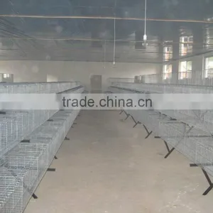 Commerial Automatic Chicken Cage thumbnail-2