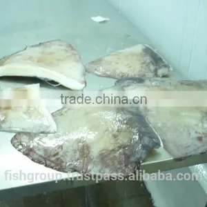 Giant Squid Wing thumbnail-6