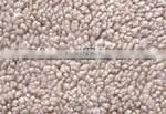 Sherpa thumbnail-3