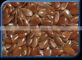 Linseed thumbnail-1