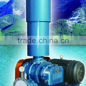 RootsVacuum Pump thumbnail-1