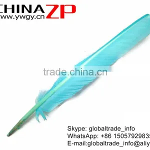 Best Plumage Supplier ZPDECOR Bulk Earrings Dyed Light Blue Turkey Pointers Quill Large Feathers for Sale thumbnail-3