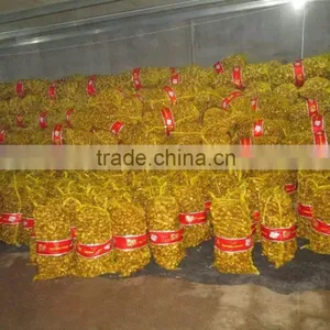 Sand Ginger at Dried Ginger Export Prices thumbnail-1