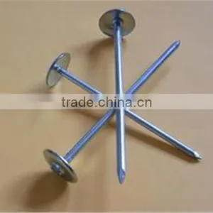 Roofing Nails Galvanized Nails for Sale thumbnail-1