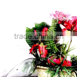 Tempered Glass Lid thumbnail-3