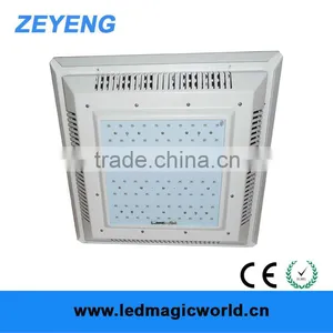 Explosion Proof Luminaire LED Light thumbnail-1