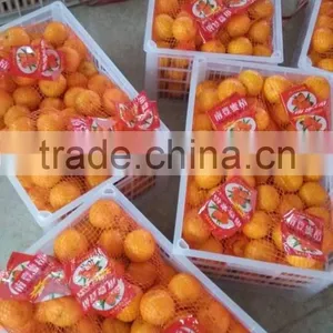 Chinese Fresh Orange Cheap Selling thumbnail-2