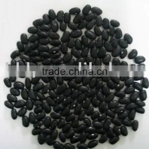 Black Bean thumbnail-1