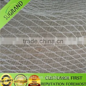 Anti Bird Netting for UK Market thumbnail-2