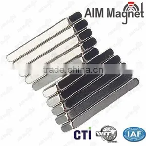 Rare Earth Strong N42 Neodymium 10mm Magnet for Sale thumbnail-2